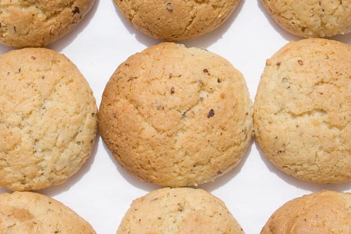 coconut hazel biscuits