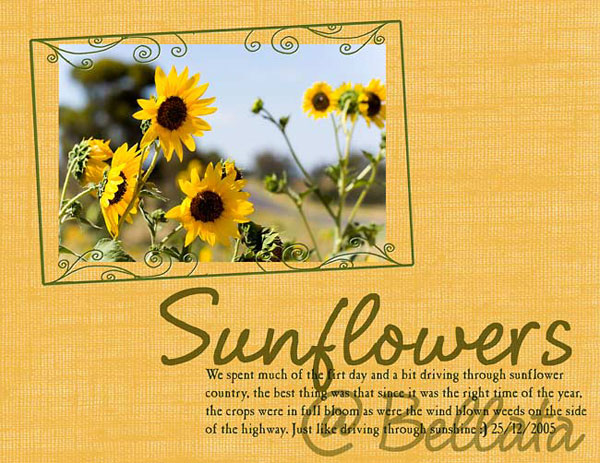 sunflowers