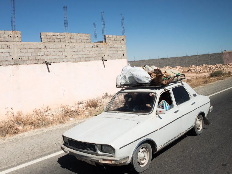 goats and sheep on the roof rack of a white car